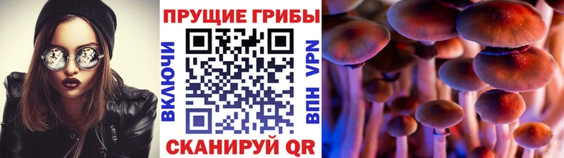 Псилоцибиновые грибы прущие грибы  хочу   Сосновоборск 